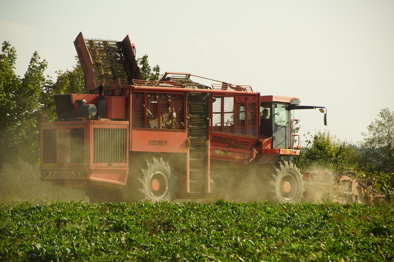 grass, transportation, green color, 5K, the industry, harvest, no people, sky, day, beets, land vehicle, collections, outdoors, plant, nature, rural scene
