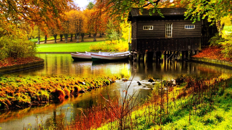 flower, trees, natural, outdoors, stone, meadow, autumn, garden, day, no people, plant, nature, tranquility, scenics - nature, reflection, yard, tourism