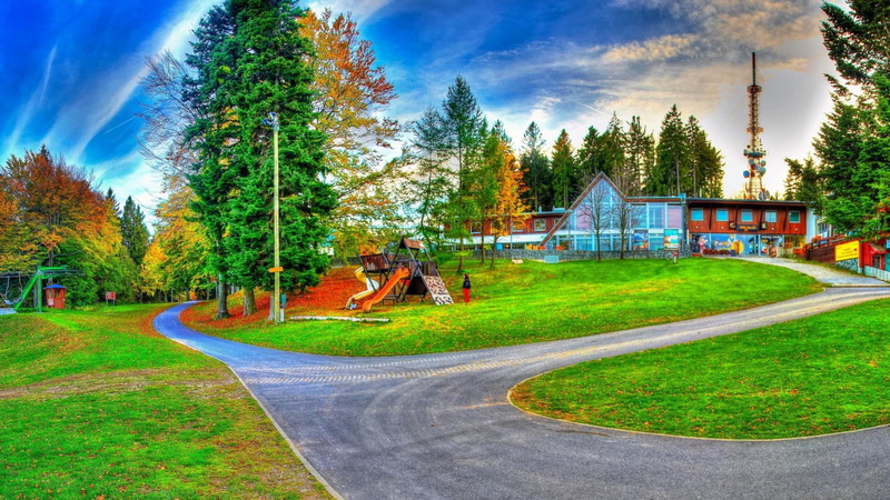 footpath, park, street, no people, garden, grass, green color, pine tree, transportation, 1080P, rural, architecture, cloud - sky, nature, summer, season