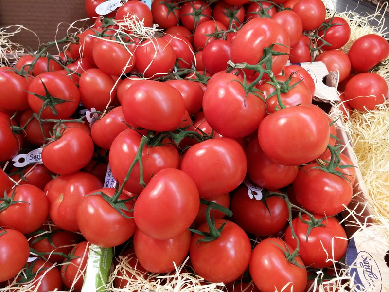 day, meal, vegetable growing, bush tomatoes, tomato mozzarella, Tomatoes, for sale, nutrition, market stall, knife, raw, nature, sun, about, ripe, sweet