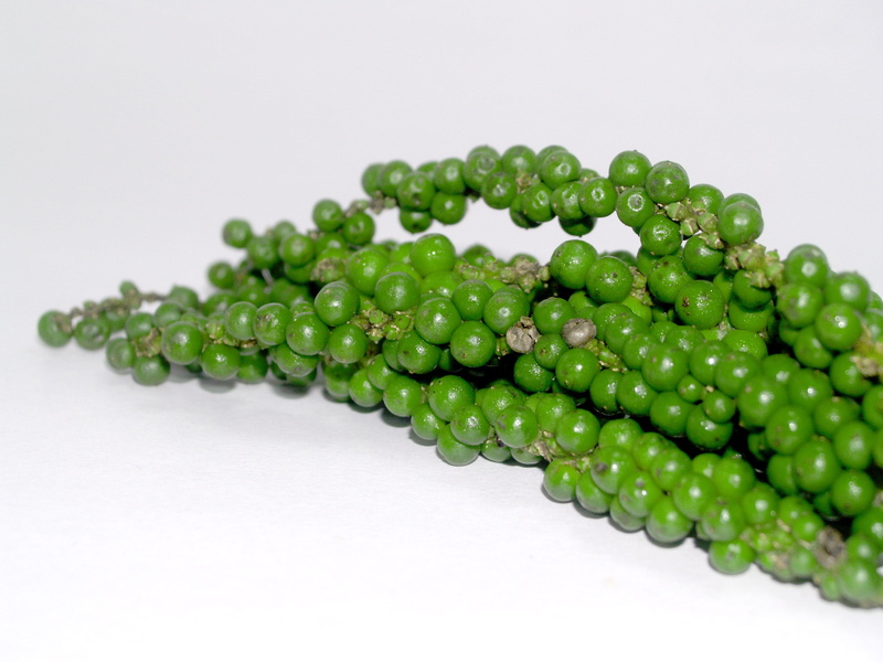 white background, flavor, circle, gray, pile, savoury, curry, no people, green pea, drupe, food, copy space, cook, corn, selective focus, raw food, gourmet