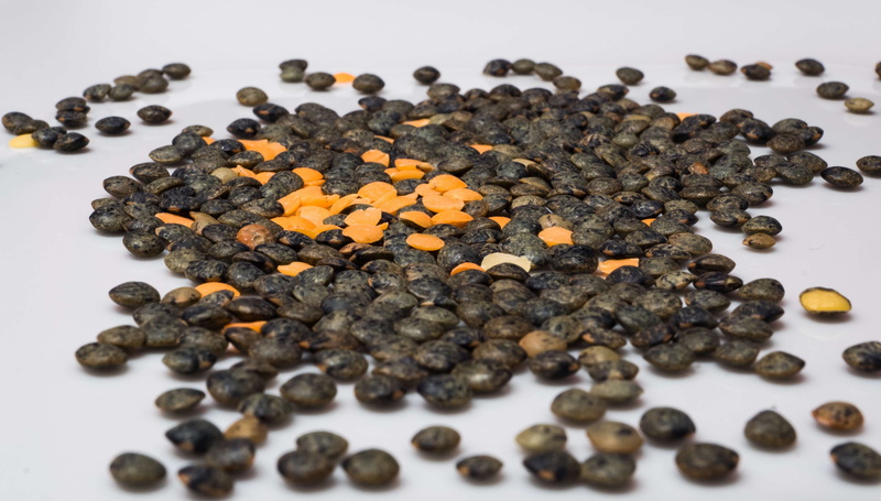 black peppercorn, indoors, healthy eating, lentils nature, no people, snack, studio shot, food and drink, high angle view, dried food, chocolate, black color