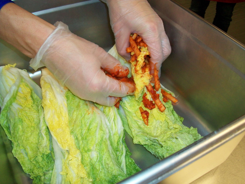 holding, food, healthy eating, making kimchi, human hand, freshness, occupation, close-up, food and drink, hand, fermented foods, preparation, human body part