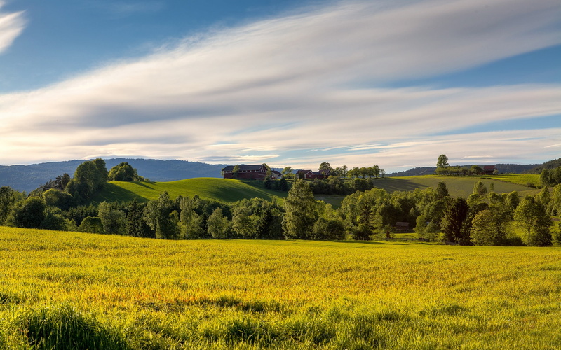 Meadow, Summer, Trees, Hills, Sky, Norway, 1080P, Fields
