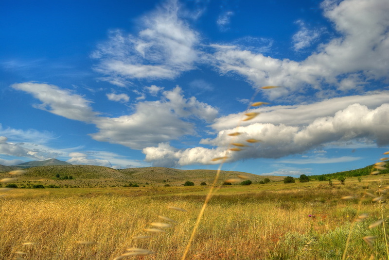 outdoors, Macedonia, scenics, photo, field, landscape, grass, nature, white, Hay, sky, rural Scene, μακεδονια, summer, 720P, white clouds, cloud - Sky