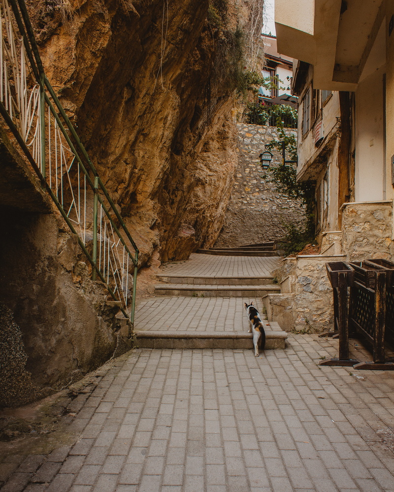 building, cat, direction, leisure activity, architecture, footpath, old town, street, macedonia, rear view, building exterior, macedonia (fyrom), women