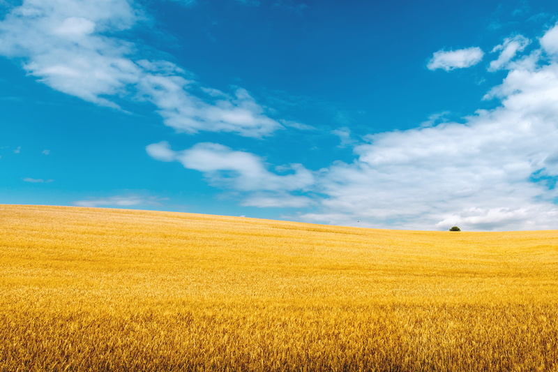 land, blue, rural scene, landscape, rolling landscape, sky, nature, background, tranquility, cloud - sky, 5K, environment, tranquil scene, field, no people