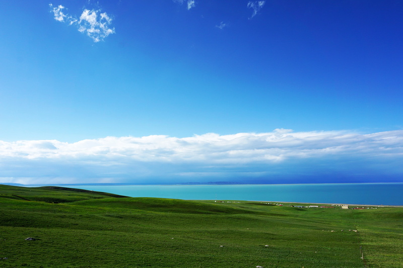 tranquility, scenics - nature, day, tranquil scene, plant, cloud - sky, grass, green, idyllic, sky, blue, nature, environment, beauty in nature, 2K, rolling landscape