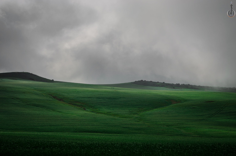 plant, landscape, beauty in nature, no people, nature, mist, outdoors, agriculture, niebla, rural scene, non-urban scene, cloud - sky, green, scenics - nature