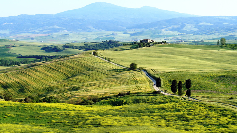farm, field, land, landscape, growth, idyllic, nature, 4K, grass, mountain, beauty in nature, agriculture, tranquility, plantation, environment, scenics - nature
