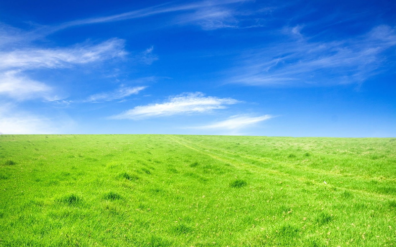 green color, plant, painting, meadow, land, field, grass, beauty in nature, 1080P, cloud - sky, freedom, abstract, environment, horizon, blue, nature