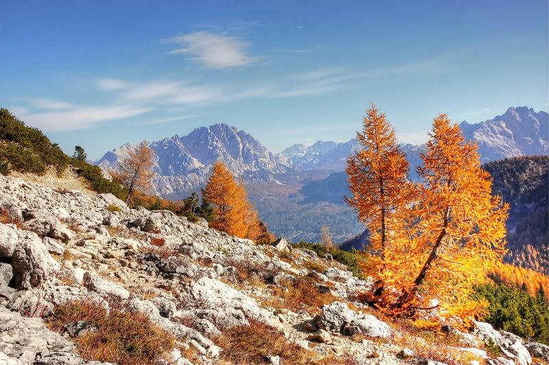 formation, massif, plant, idyllic, mountain, tree, cloud - sky, sky, mountain range, forest, nature, growth, mountain peak, change, non-urban scene, high