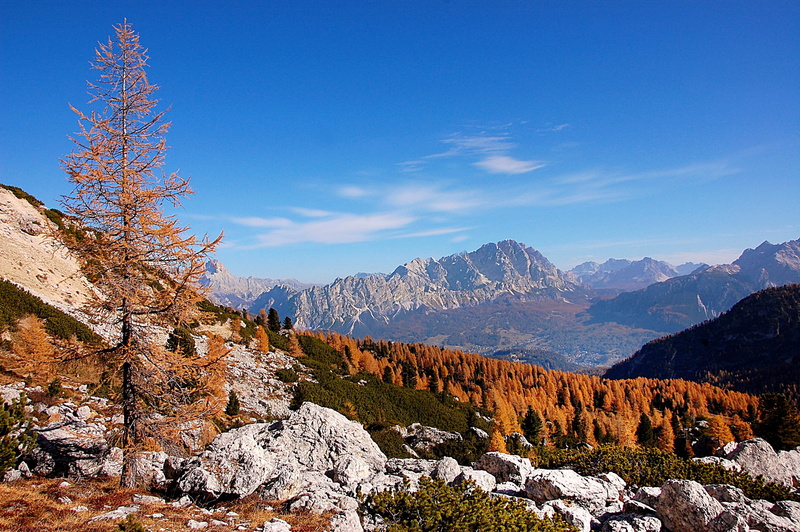 forest, formation, 2K, sky, scenics - nature, mountain, view, alpine, travel destinations, hike, vacations, rock, rock - object, no people, tranquility