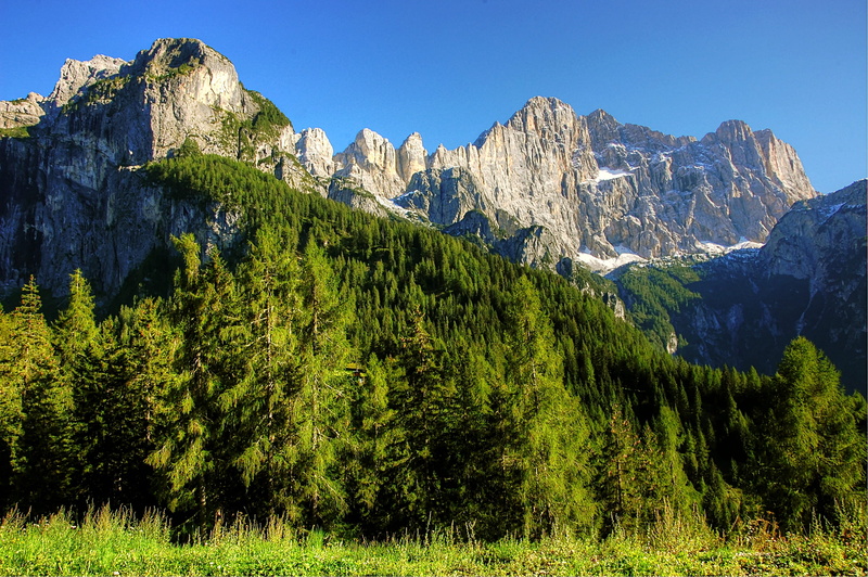 land, green, romantic, panorama, alpine, non-urban scene, nature, green color, pine woodland, outdoors, pine tree, dolomites, italy, snowcapped mountain