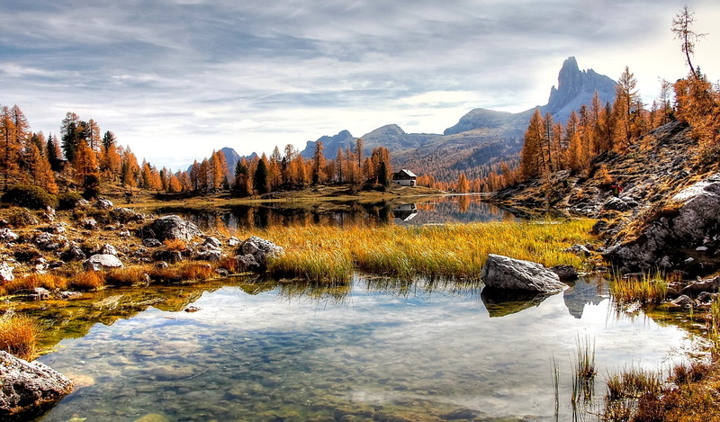 italy, hiking, forest, lake, beauty in nature, view, panorama, plant, no people, rock - object, mountains, summer, tree, karg, water, swamp, mountain, rubble field
