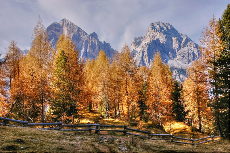 autumn collection, tranquility, belluno, rock, blue, beauty in nature, tree, change, pine tree, 2K, alpine, italy, coniferous tree, plant, forest, dolomites