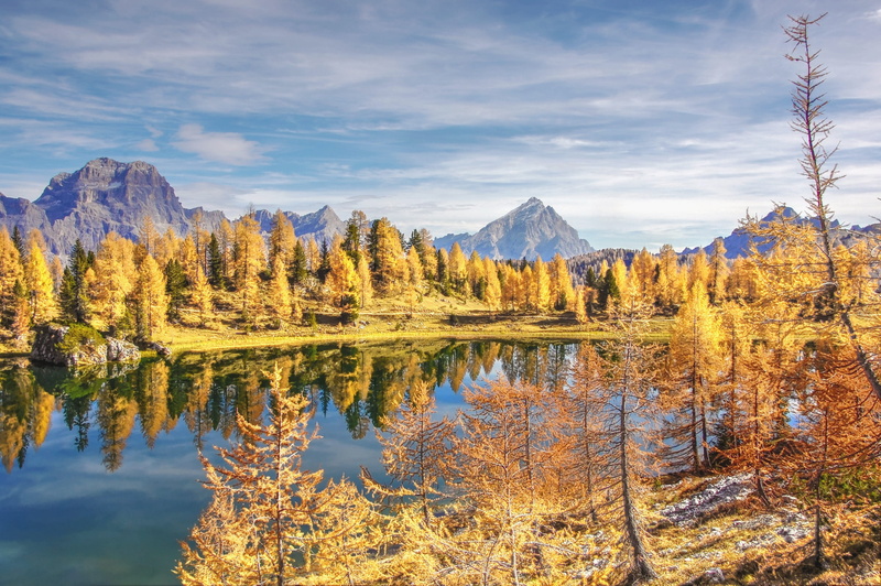 rock, alm, tranquil scene, autumn, landscape, bergsee, nature, no people, mountains, coniferous tree, sky, lake, alpine panorama, non-urban scene, view