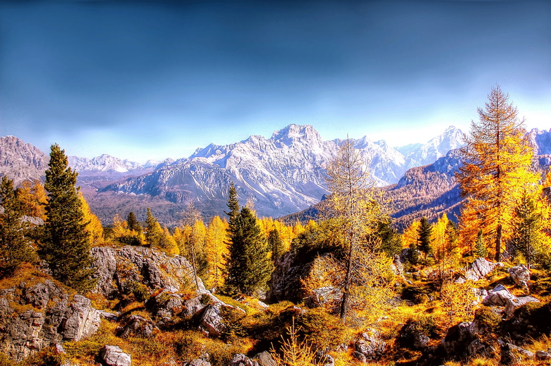 rock, non-urban scene, environment, nature, forest, alm, mountain landscape, snowcapped mountain, change, coniferous tree, blue, tree, idyllic, belluno