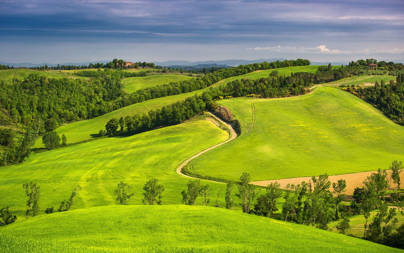 idyllic, day, 1080P, no people, green color, outdoors, scenics - nature, sky, green - golf course, field, tranquility, land, tree, grass, beauty in nature