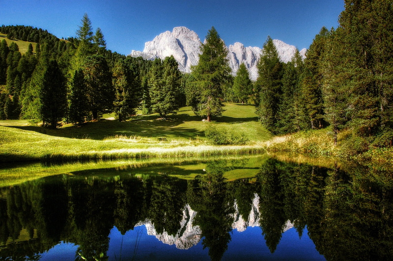 coniferous tree, non-urban scene, photography, rock, alpine panorama, tranquil scene, view, bergsee, dolomites, 2K, baume, mountain, geisler range, alpine