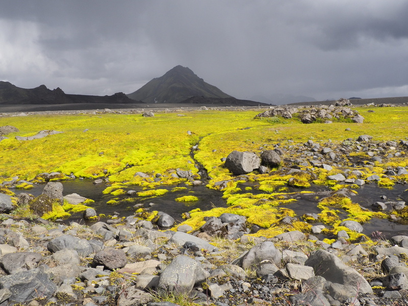 no people, water, rock - object, solid, mountain, blossom, gravel, plateau, rocks, flower, road, yellow, weather, day, abies, ground, beauty in nature