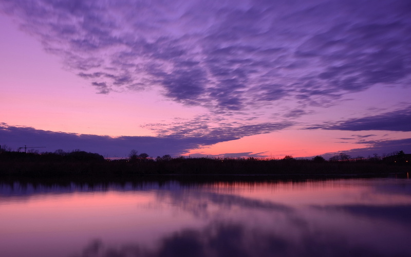 Evening, Sunset, Water, Purple, Trees, Lake, Surface, 1080P, Clouds, Sky