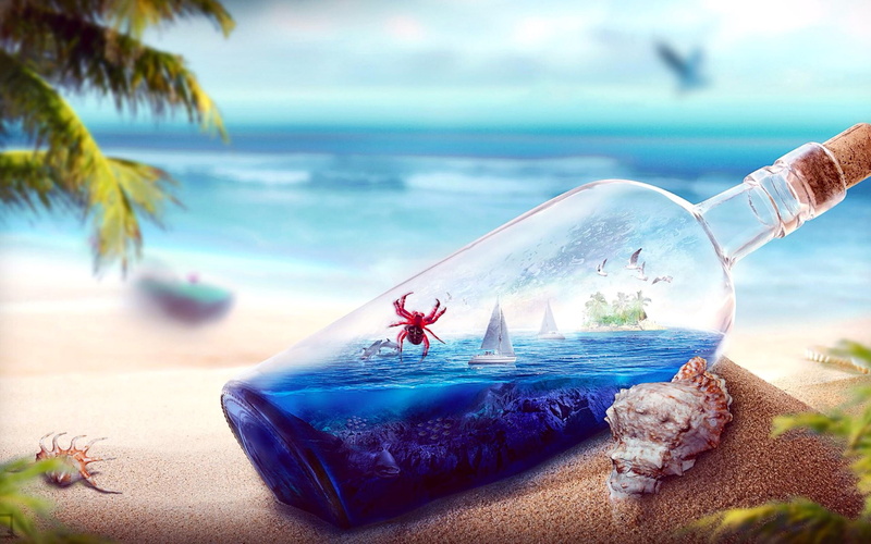 hd, beach, glass, art, dolphins, digital, yacht, sea, birds, 2K, bottle