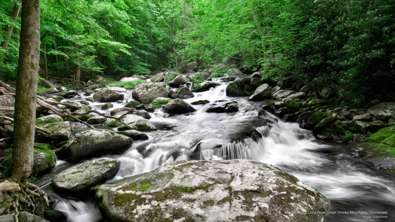 Spring/Summer, river, 2K, tennessee, great, mountains, little, smoky, prong, middle