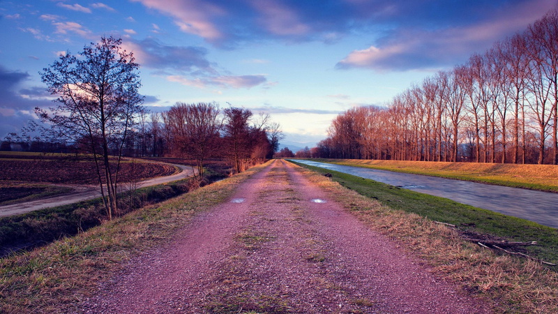 road, pathway, cloud, 2560x1440, along, river, tree, 2K, nature