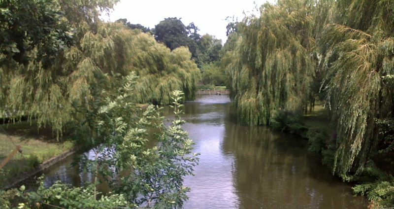 trees, 3d and abstract, 1080P, river, along