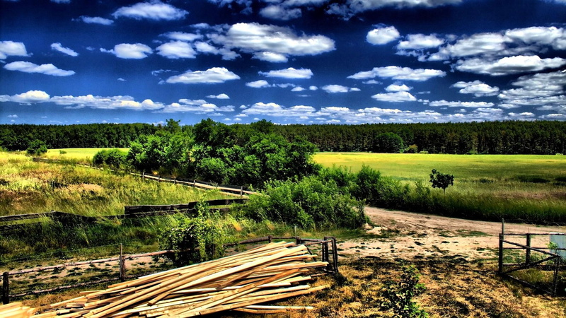 yard, nature and landscapes, trees, hdr, white, countryside, clouds, landscape, fields, greenfields, 1080P, lumber, photo