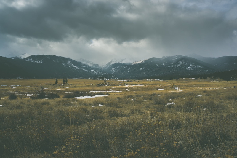 scenics, landscape, rocky Mountains, 1080P, environment, meadow, summer, plant, scenics - nature, beauty In Nature, mountain Peak, near, nature, field