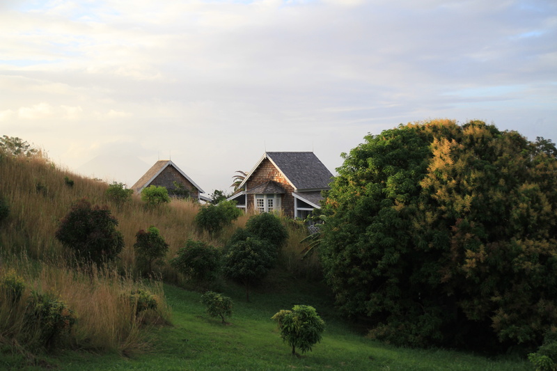 home, plant, house, architecture, daytime, cloud - sky, brown, greenfield, building, rural Scene, outdoors, homes, residential Building, blue, trees, non-urban scene