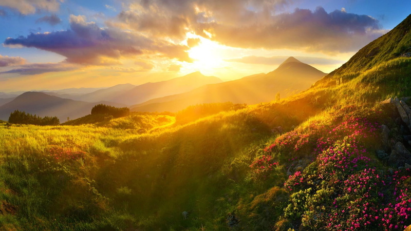 tranquil scene, bright, sun, sunray, sunset, cloud - sky, plant, hill-side, tranquility, greenfield, hills, scenics - nature, field, no people, environment