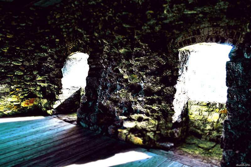 old building, sunlight, nature, beauty in nature, plant, focus on foreground, wall, cold temperature, no people, winter, 2K, land, outdoors, tree, rock