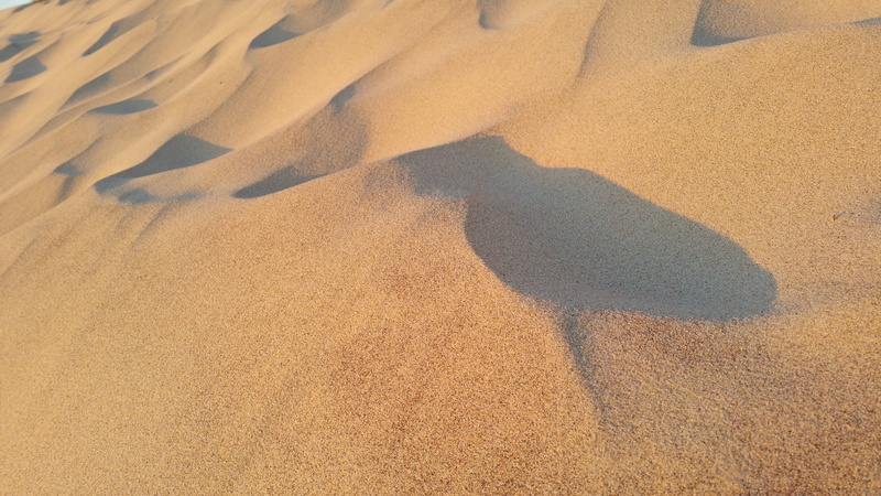 beach, 5K, sunlight, full frame, desert, landscape, no People, sand Dune, backgrounds, environment, sand, shadow, Sea, Ocean, tranquility, land, high angle view