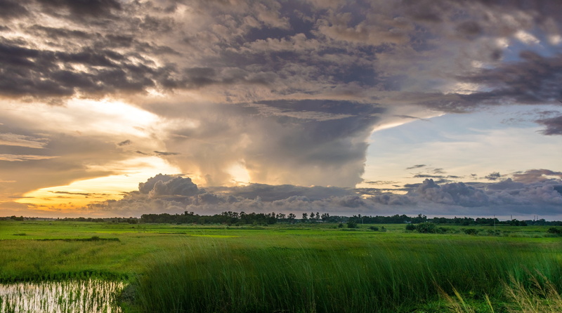 tranquil scene, Sunny, Outdoor, Water, Cloudy, green color, Summer, plant, tranquility, land, greengrass, cloud - sky, outdoors, growth, Grass, Greenfield