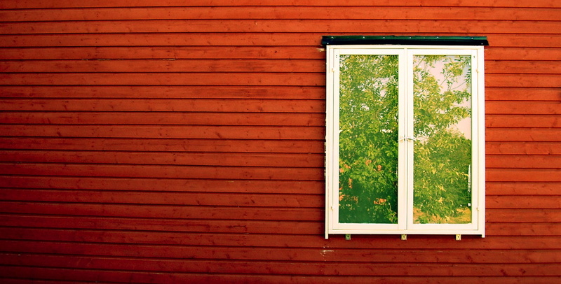 plant, no people, door, green color, architecture, wall, building, residential district, window frame, cottage, window, closed, house, building exterior
