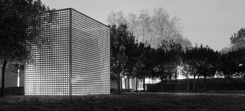 lyon, cage, light, onlylyon, noir et blanc, growth, cite internationale, 19 allée achille lignon, france, sky, grass, monlyon, low angle view, black and white