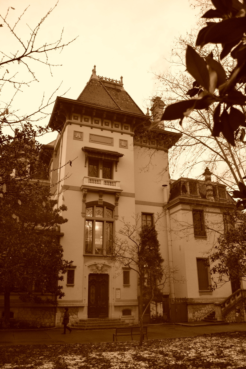 building, house, sepia, architecture, day, lyon, plant part, black And White, window, building Exterior, sepia Toned, leaf, lumière brothers, residential district