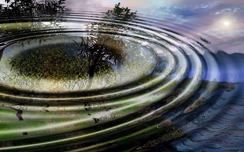outdoors, growth, water, 1080P, digital composite, close-up, tranquility, no people, Trees, fish-eye lens, Circles, tranquil scene, rippled, green color