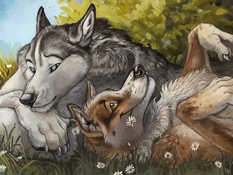 animals, 480P, paintings, x, art, fandom, dogs, hd, wolves, furry