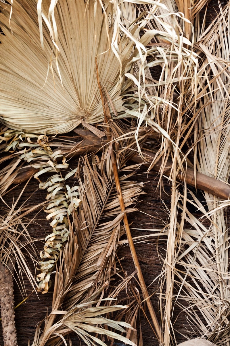 vulnerability, field, cottage, dry, wilted plant, dried, 1080P, leaf, close-up, shelter, day, brown, growth, texture, architecture, nature, natural, construction