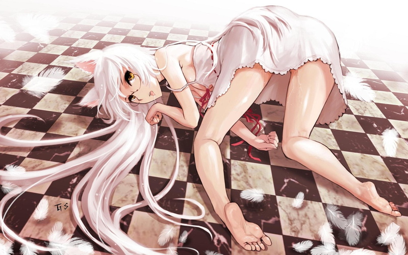 haired, Tsubasa Hanekawa, white, 1080P, Anime, Black Hanekawa, Monogatari (Series), Neko, illustration, female, character, White Hair, Nekomonogatari: Kuro