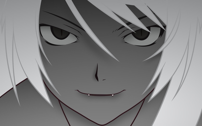Monogatari Series, face, design, still life, Hanekawa Tsubasa, low angle view, anthropomorphic face, Sawarineko, shape, studio shot, craft, anime, indoors