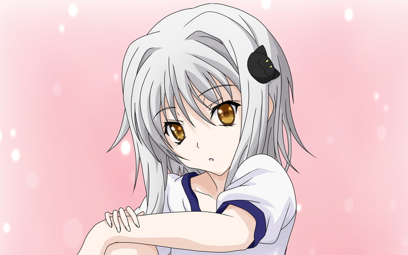 white, eyes, highschool, toujou, koneko, hair, dxd, orange, 1080P
