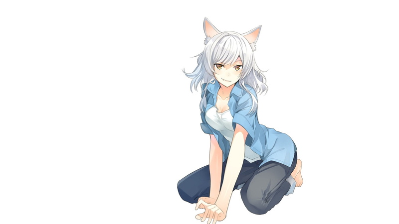 females, young adult, simple background, disguise, young women, Monogatari Series, nekomimi, white hair, obscured face, full length, Sawarineko, cut out