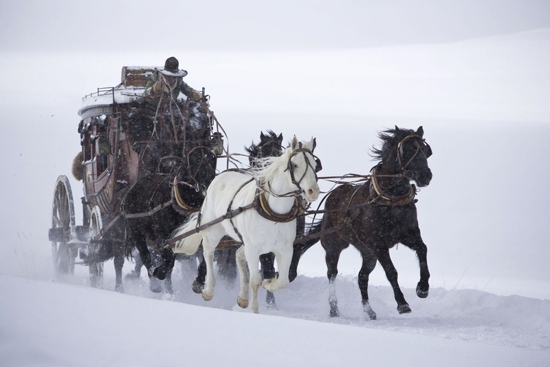 Movie, The Hateful Eight, Horse, 1080P