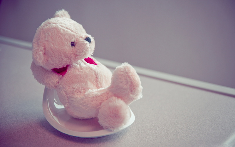 animals, beautiful, cute, hd, teddy, bears, 2K, bear, photography, art