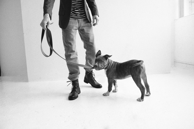 dog, vertebrate, room, 4K, pet, low section, leash, standing, holding, photo, casual clothing, mammal, pets, lead, man, one person, grayscale, pet leash